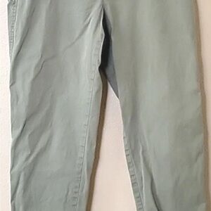 Talbots Women's Sage Trousers